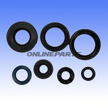 Engine Oil Seal Kit