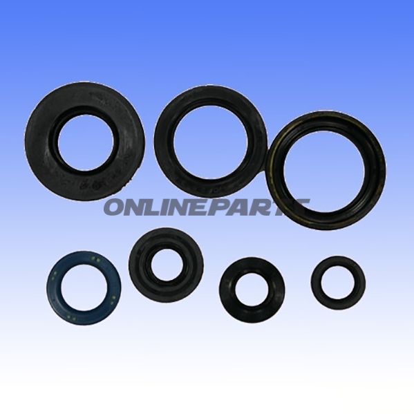 Engine Oil Seal Kit
