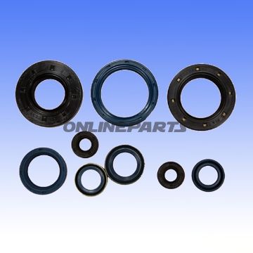 Engine Oil Seal Kit