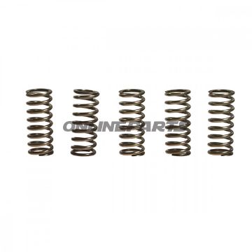 Clutch Spring Kit (5)Ebc