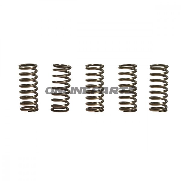 Clutch Spring Kit (5)Ebc
