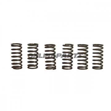 Clutch Spring Kit (6)Ebc