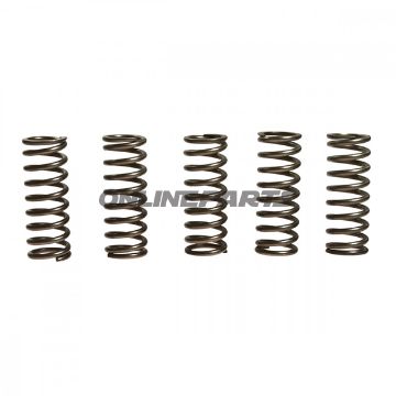 Clutch Spring Kit (5)Ebc