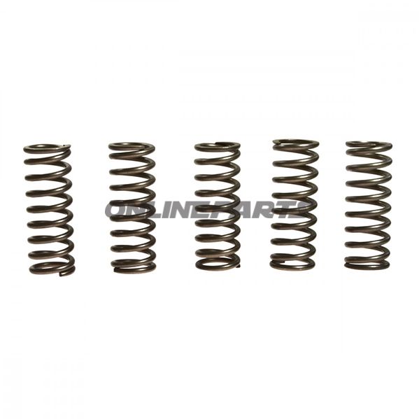 Clutch Spring Kit (5)Ebc
