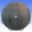Clutch Cover Gasketathena