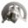 Brake Disc Protector Whitepolisport Mx