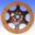 Clutch Disc Bmw Lucas/Trw