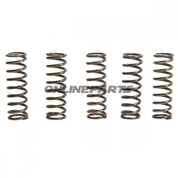 Clutch Spring Kit (5)Trw/Lucas