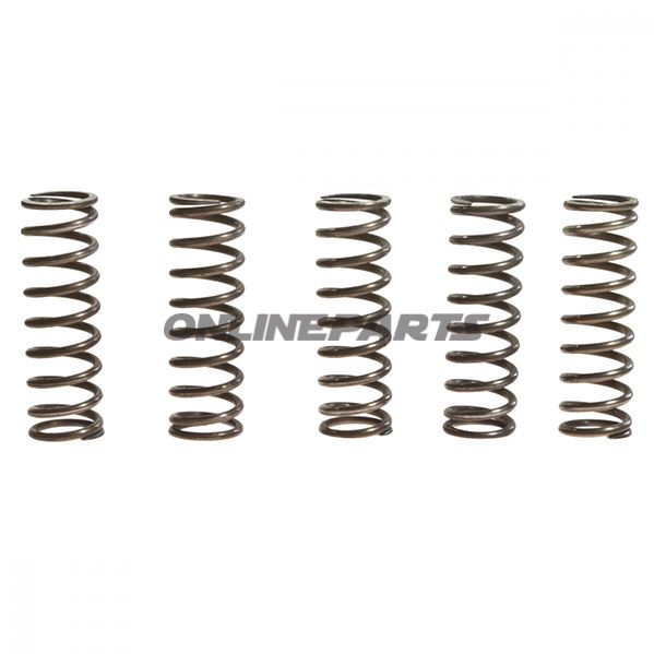 Clutch Spring Kit (5)Trw/Lucas