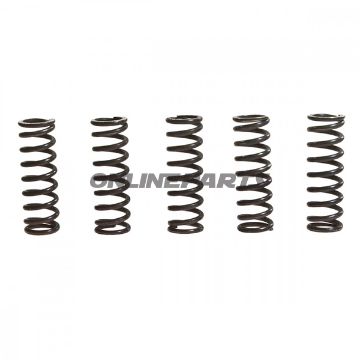 Clutch Spring Kit Reinforced Trwcont 5 Pcs