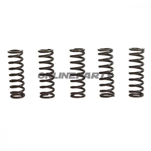 Clutch Spring Kit Reinforced Trwcont 5 Pcs
