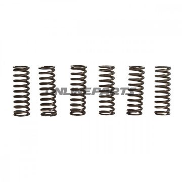 Clutch Spring Kit (6)Trw/Lucas