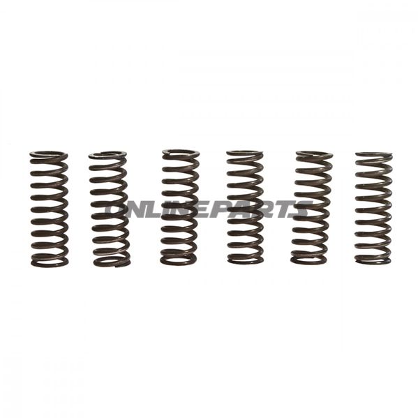 Clutch Spring Kit (6)Trw/Lucas