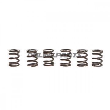 Clutch Spring Kit (6)Trw/Lucas