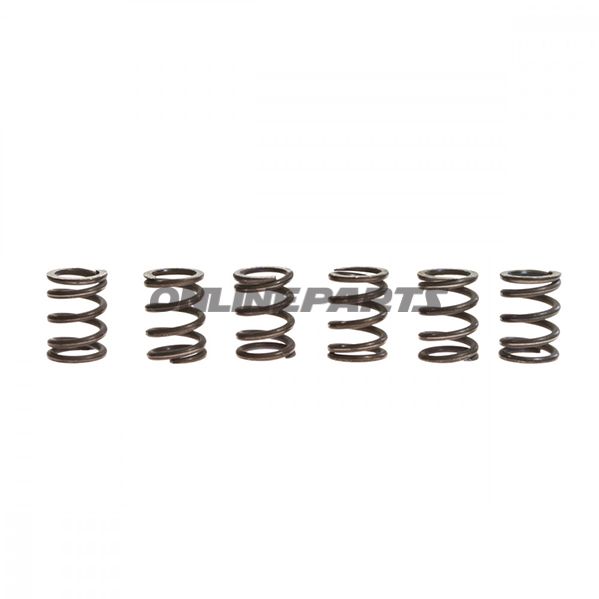 Clutch Spring Kit (6)Trw/Lucas