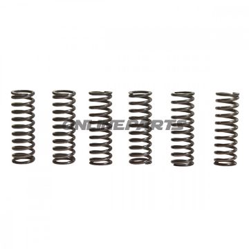 Clutch Spring Kit (6)Trw/Lucas