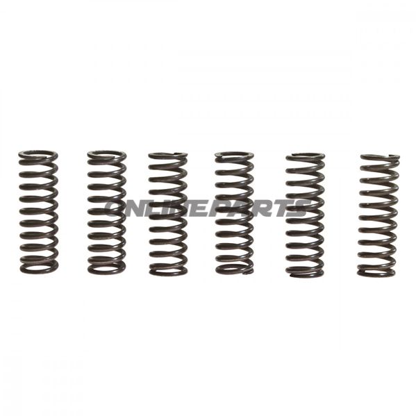 Clutch Spring Kit (6)Trw/Lucas