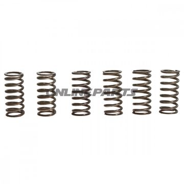 Clutch Spring Kit (6)Trw/Lucas