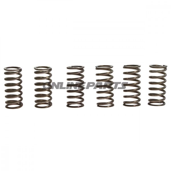 Clutch Spring Kit (6)Trw/Lucas