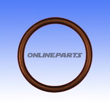 Valve Cover Gasket O-Ring3x29 Mm