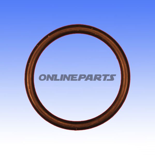 Valve Cover Gasket O-Ring3x29 Mm