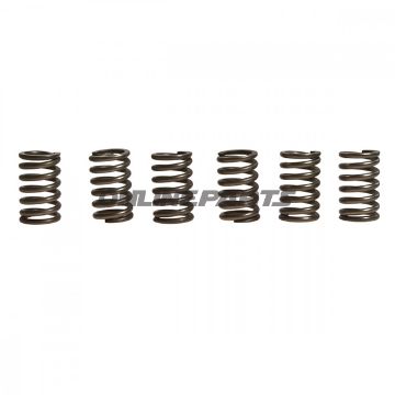 Clutch Spring Kit (6)Ebc