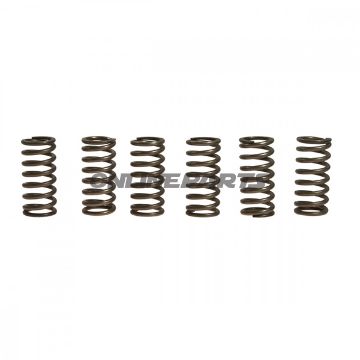 Clutch Spring Kit (6)Ebc