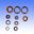 Engine Oil Seal Kit