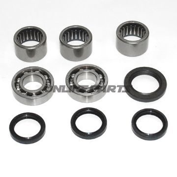Swing Arm Needle Bearing.