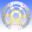 Brake Disc Ebc Contourx Series Stainless Steel