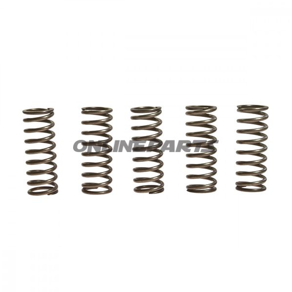 Clutch Spring Kit (5)Ebc