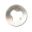 Brake Disc Ebcmx / Enduro / Atv