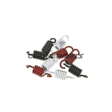 Clutch Spring Kit (3)Naraku