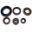 Engine Oil Seal Kit