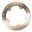Brake Disc Ebcstainless Steel Universal