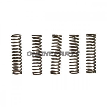 Clutch Spring Kit (5)Ebc