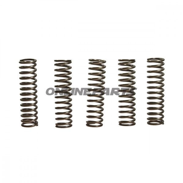 Clutch Spring Kit (5)Ebc