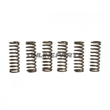 Clutch Spring Kit (6)Ebc