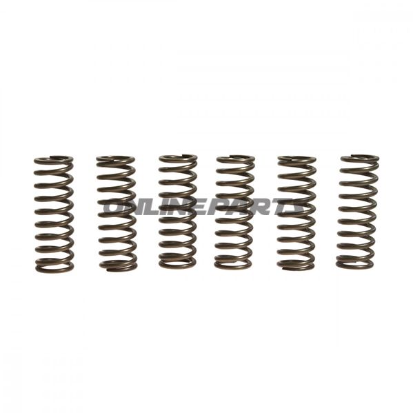 Clutch Spring Kit (6)Ebc