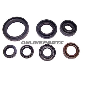 Engine Oil Seal Kit