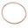 Base Gasket O-Ring 2X81mm
