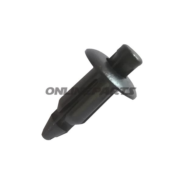 Push Rivet10 Pieces