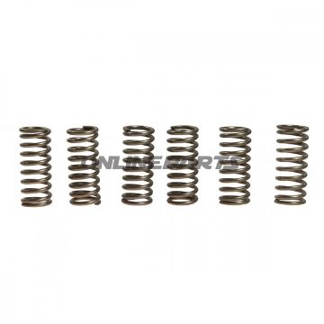 Clutch Spring Kit (6)Ebc