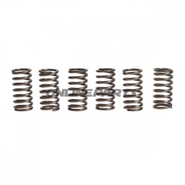 Clutch Spring Kit (6)Ebc