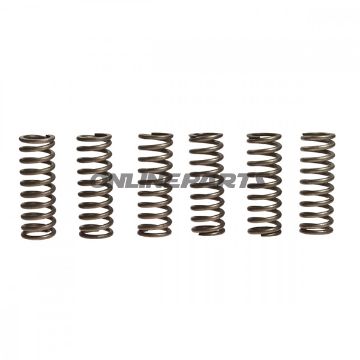 Clutch Spring Kit (6)Ebc