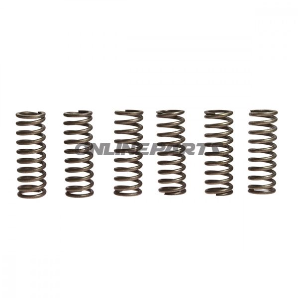 Clutch Spring Kit (6)Ebc