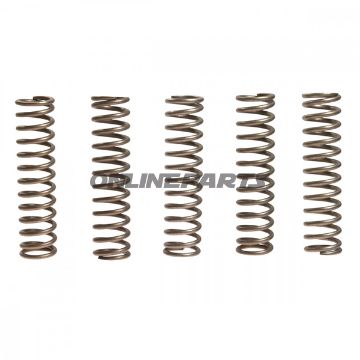 Clutch Spring Kit (5)Ebc