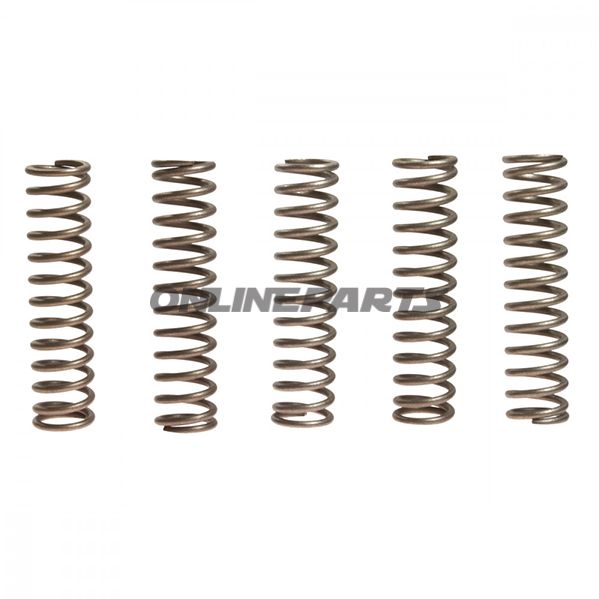 Clutch Spring Kit (5)Ebc