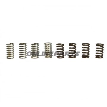 Clutch Spring Kit (8)Ebc