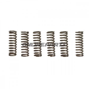 Clutch Spring Kit (6)Ebc